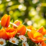Arrange stunning Orange County event flowers in a vibrant garden setting for special occasions.