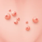 Illustration of vaginal warts highlighting their appearance and characteristics for educational purposes.